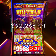 9988bet: A Experiência de Casino com Jogos de Mesa ao Vivo